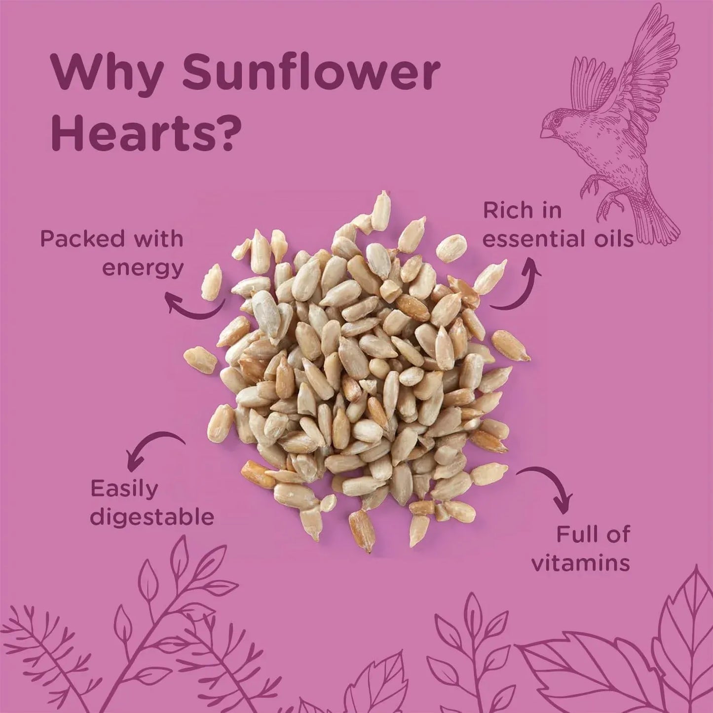 Extra Select Sunflower Hearts Bird Food - Husk-Free, Oil Rich, High Energy Wild Bird Seed for Year Round Feeding - 3 Litre Bucket
