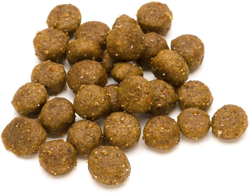 Lifelong - Complete Dry Dog Food with Salmon & Rice for Small Breeds, 1 Pack of 3kg