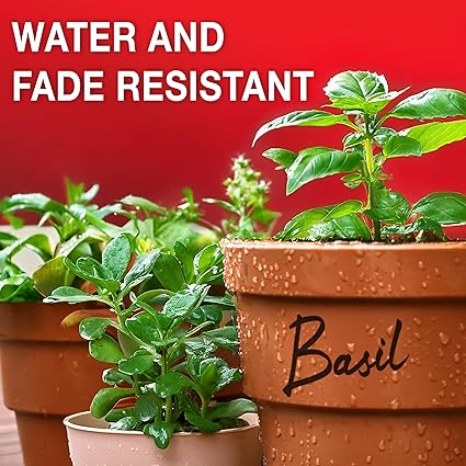 Sharpie Permanent Markers | Fine Point for Bold Details | Black Ink | 2 Marker Pens