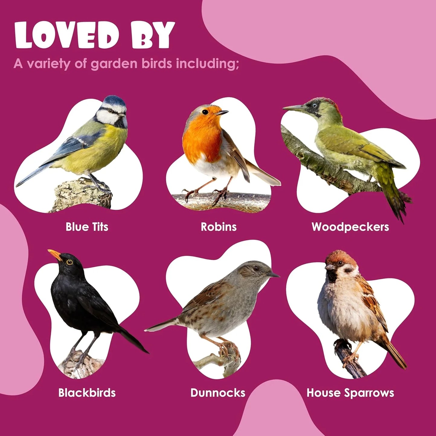 Suet Shop Berry Flavoured Suet Blocks for Wild Birds, 300g Pack of 10, High-Energy Bird Feed, Human-Grade Beef Tallow, All-Season, Made in UK