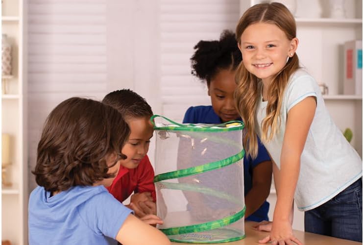 Insect Lore Butterfly Garden (Packaging May Vary)