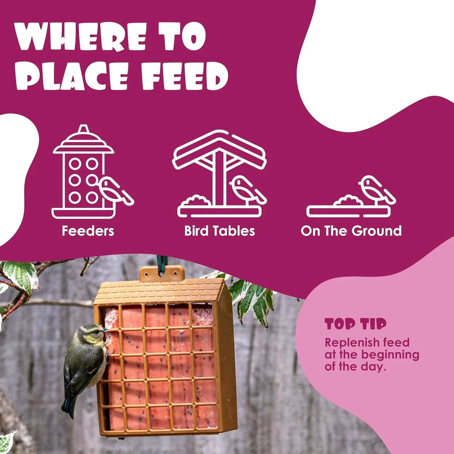 Suet Shop Berry Flavoured Suet Blocks for Wild Birds, 300g Pack of 10, High-Energy Bird Feed, Human-Grade Beef Tallow, All-Season, Made in UK