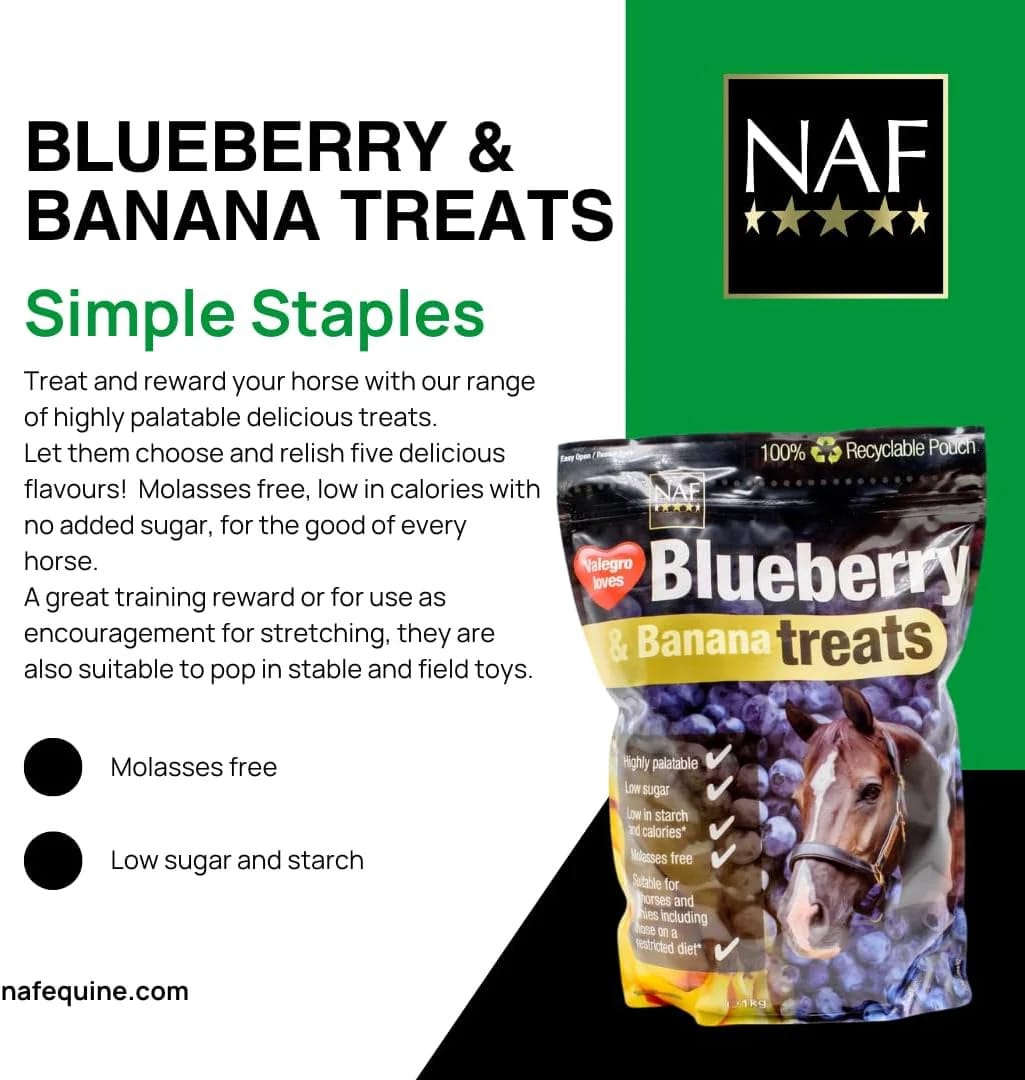 NAF Blueberry & Banana Horse Treats 1kg – Natural Low-Sugar Equine Snacks – Laminitis-Friendly Healthy Horse & Pony Treats – Nutritious Daily Reward for Training, Bonding & General Feedin