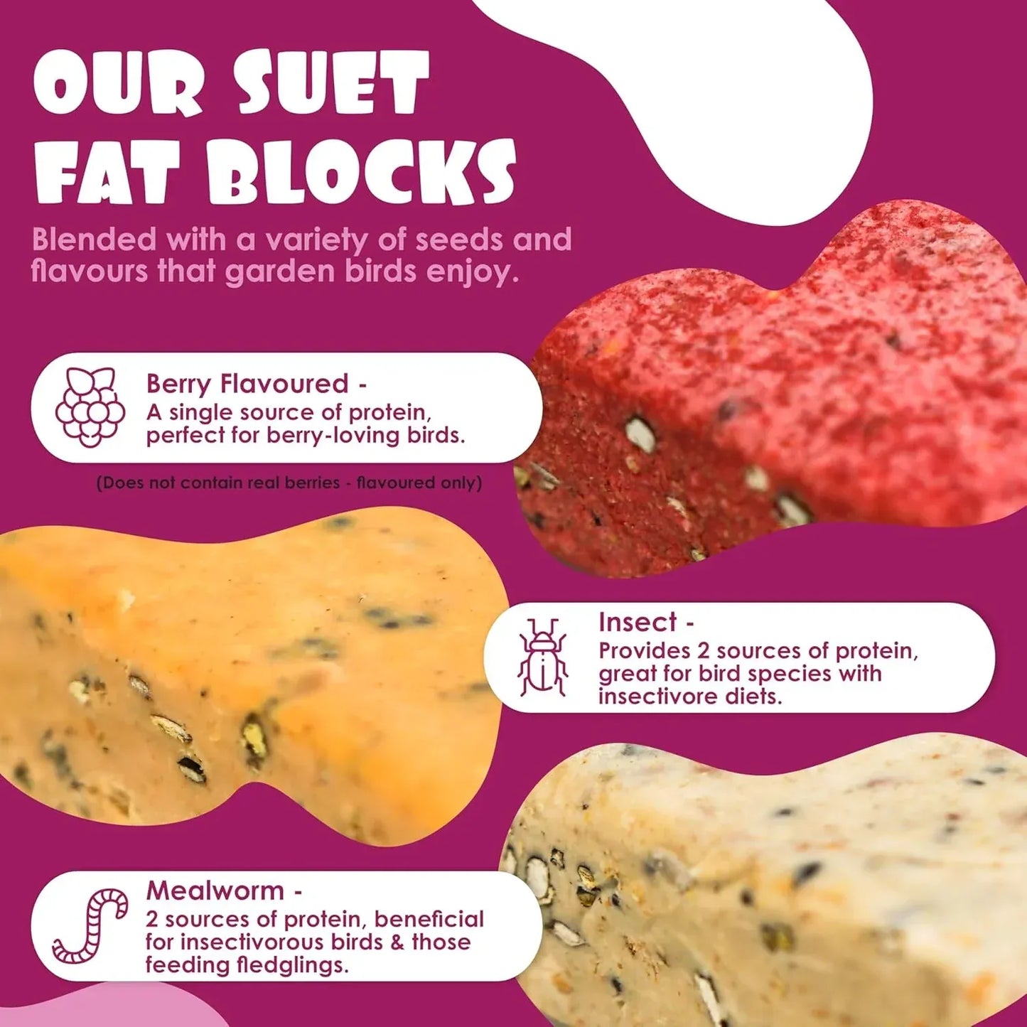 Suet Shop Berry Flavoured Suet Blocks for Wild Birds, 300g Pack of 10, High-Energy Bird Feed, Human-Grade Beef Tallow, All-Season, Made in UK