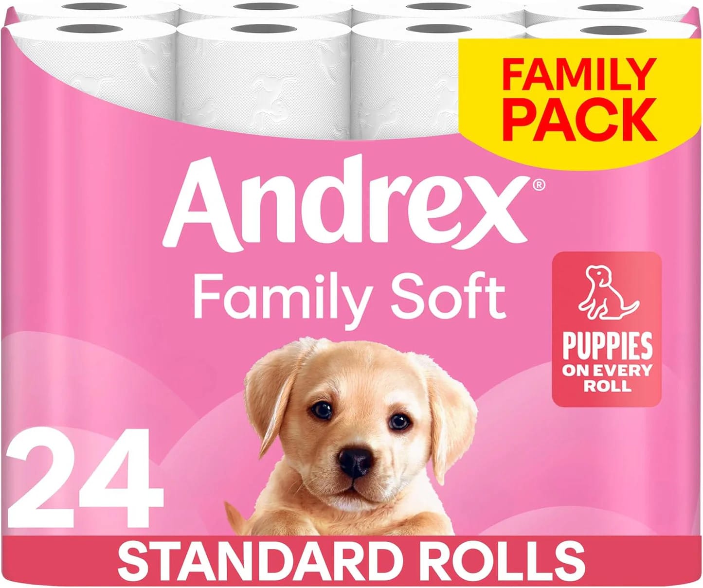 Andrex Family Soft Toilet Paper 24 Rolls (Previously Andrex Gentle Clean) Gentle on your Family’s skin– Pack of 24 Toilet Rolls, 170 sheets Per Roll,