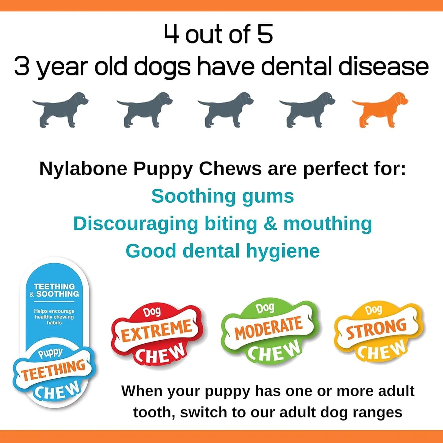 Nylabone Puppy Starter Kit, Pack of 3 Dental Dog Chew Bones, Teething, Gentle, Graduate, Small, for Puppies Up to 11 kg
