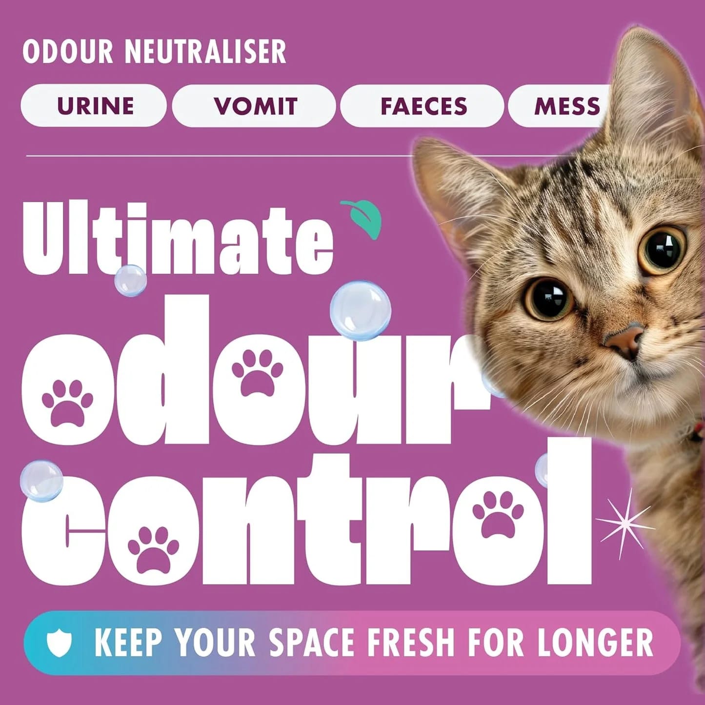 Dirtbusters Simply Carpet Cleaner Shampoo (5L) Powerful Carpet Cleaner Solution To Clean All Soiling & Eliminate Odour, Urine & Remove Stains, For Carpet Shampoo Machines