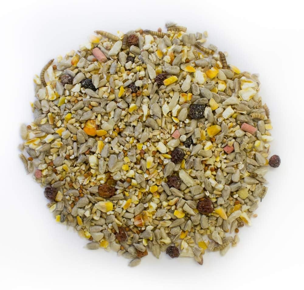 Extra Select Robin and Song Bird Feed Mix, 1 kg