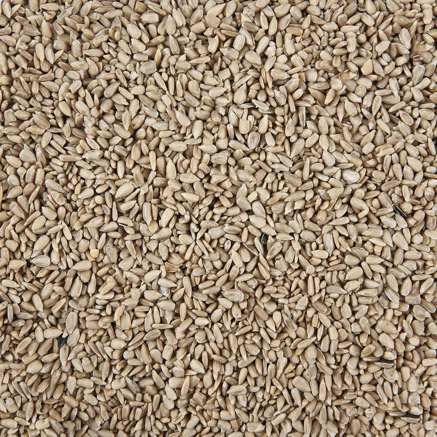 Garden Ting Sunflower Hearts Wild Bird Food Tub, 5 Litre