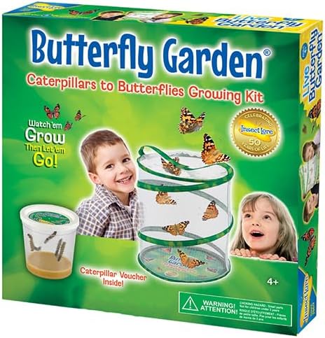 Insect Lore Butterfly Garden (Packaging May Vary)