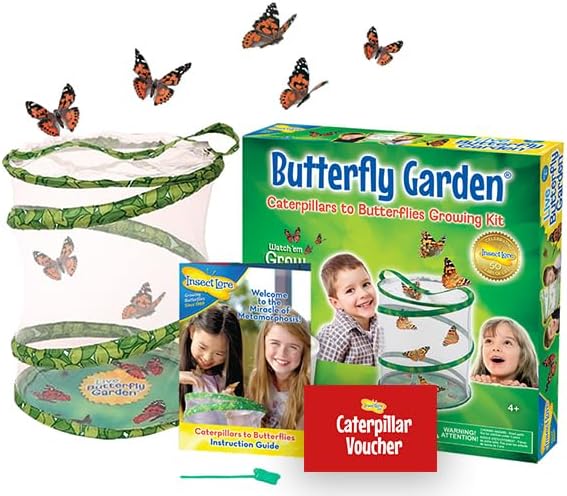 Insect Lore Butterfly Garden (Packaging May Vary)