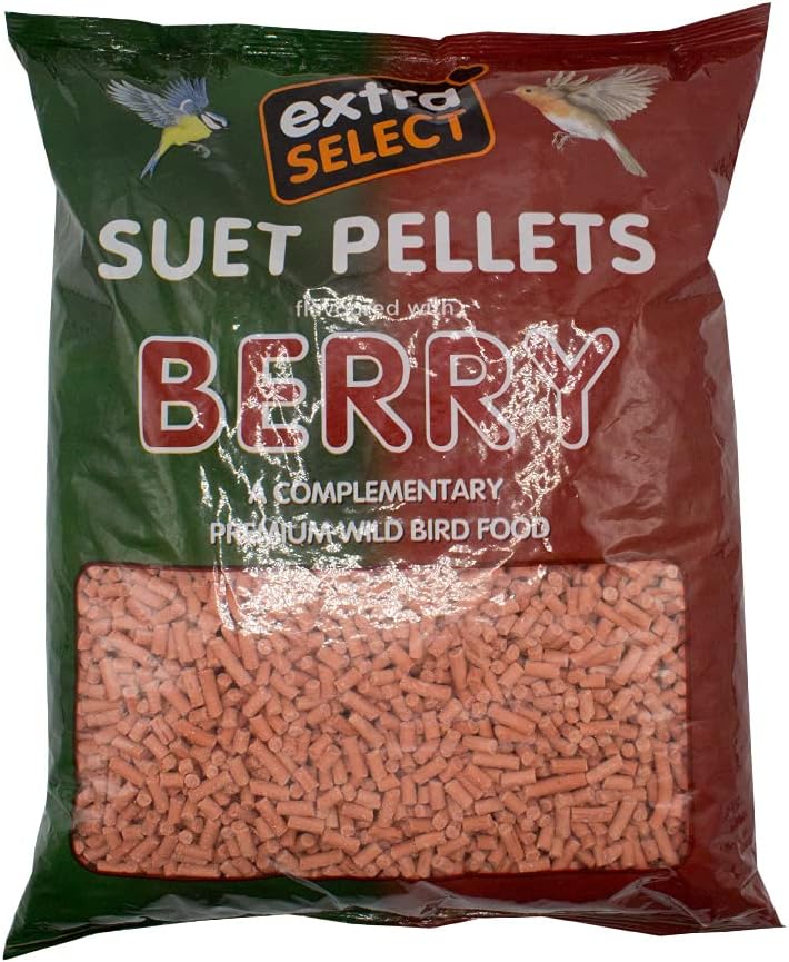 Extra Select Berry High Energy Suet Pellets Wild Bird Food - Protein, Fat Rich Year-Round Feeding - 3 Kg Refill Visit the Extra Select Store