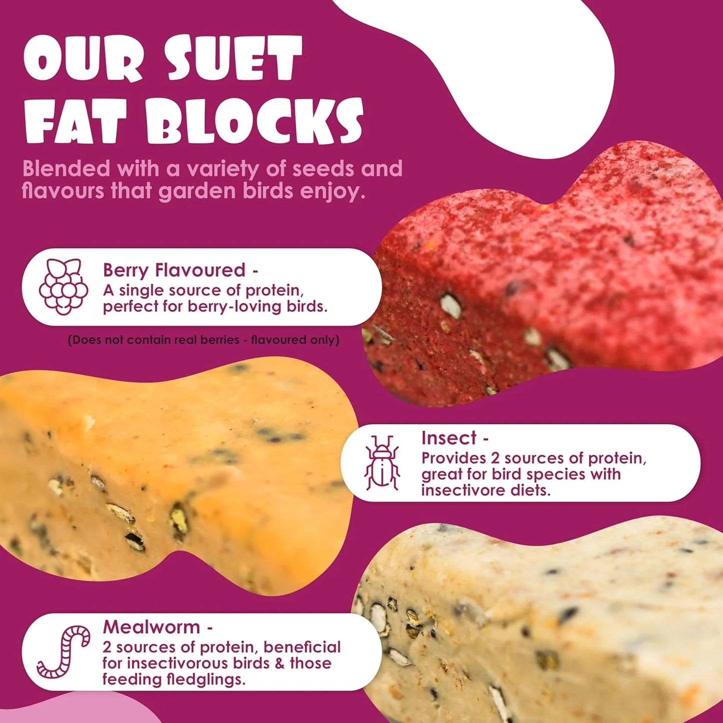 Suet Shop Berry Flavoured Suet Blocks for Wild Birds, 300g Pack of 10, High-Energy Bird Feed, Human-Grade Beef Tallow, All-Season, Made in UK