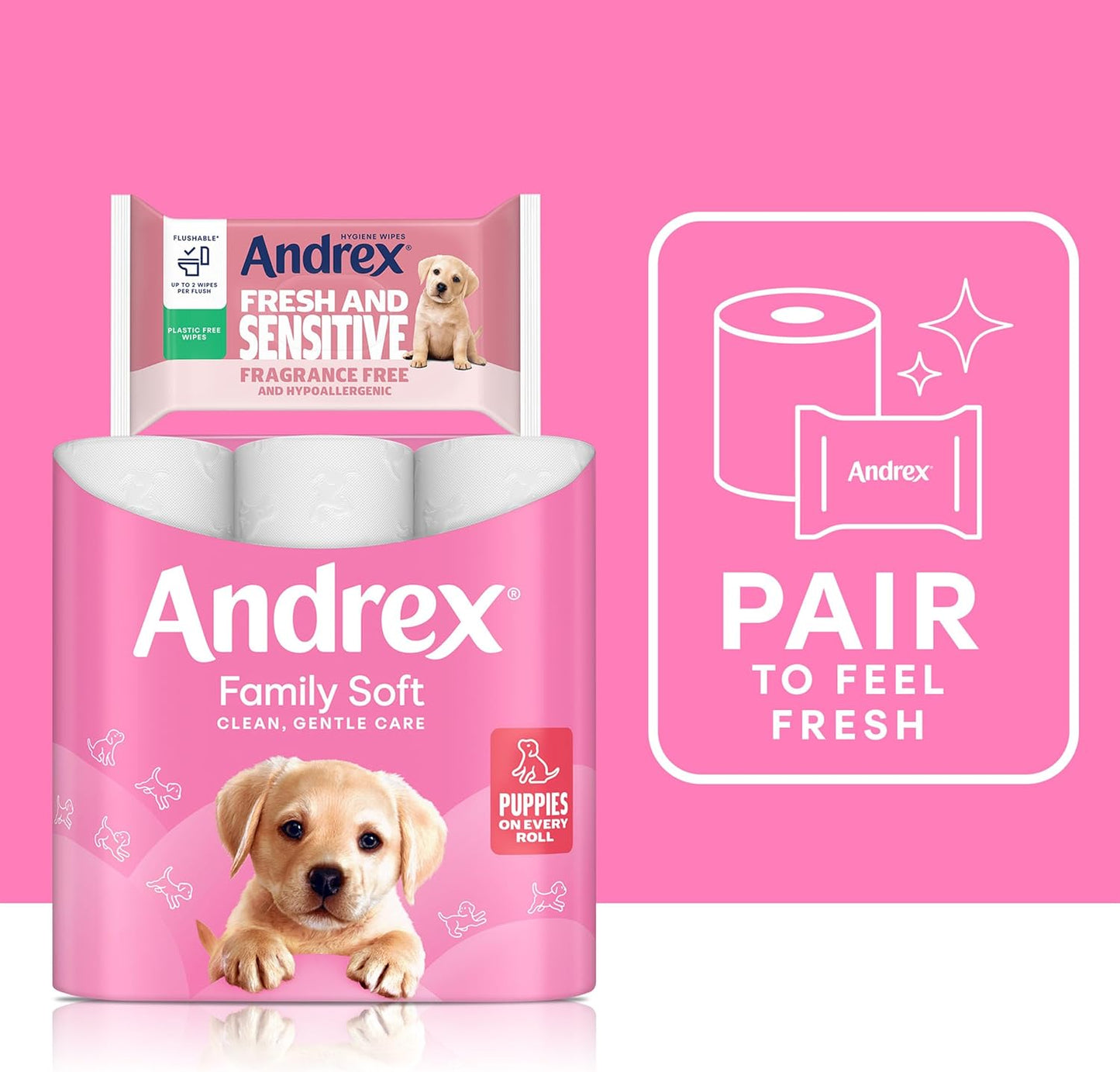 Andrex Family Soft Toilet Paper 24 Rolls (Previously Andrex Gentle Clean) Gentle on your Family’s skin– Pack of 24 Toilet Rolls, 170 sheets Per Roll,