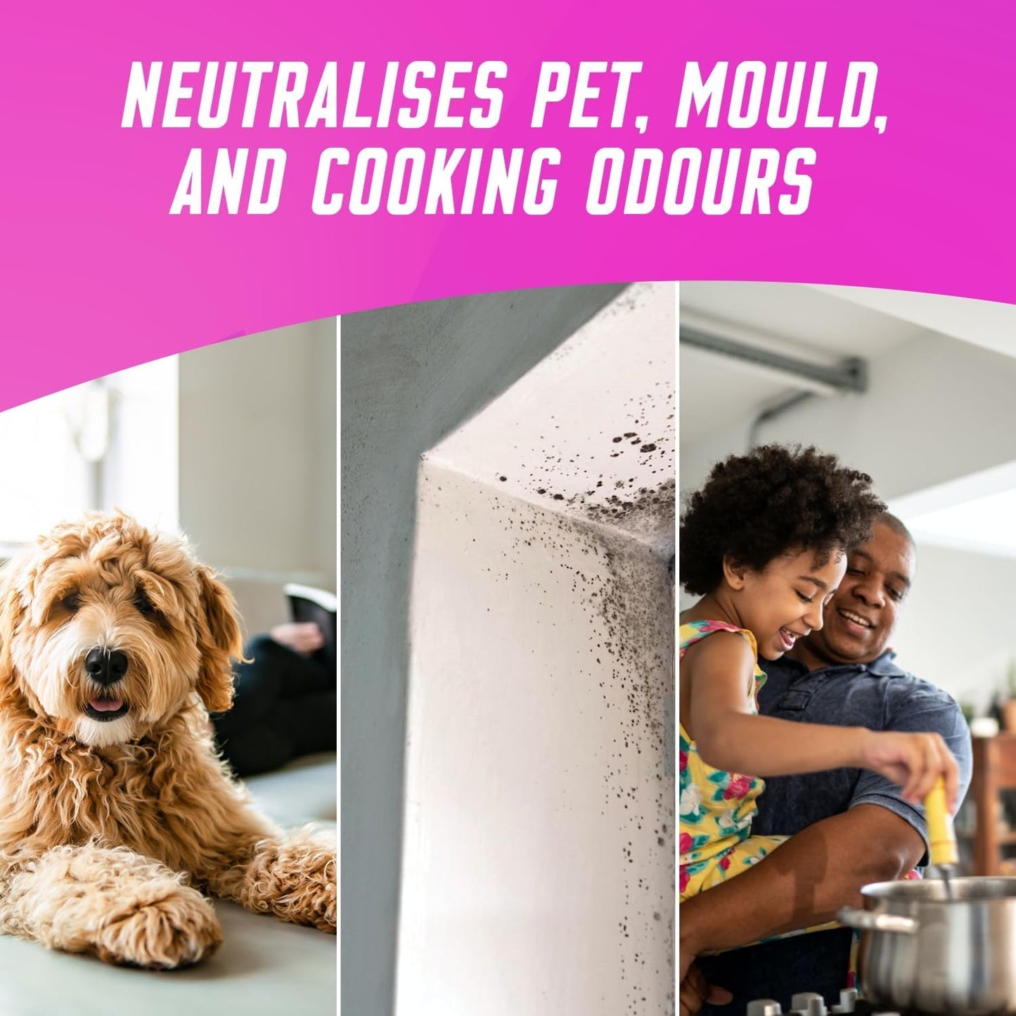 Vanish Oxi Action Upholstery & Carpet Cleaner, Stain Remover Powder for Large Area Cleaning, 650g | Spring Flowers Fragrance | Cleans and Freshens your Carpet