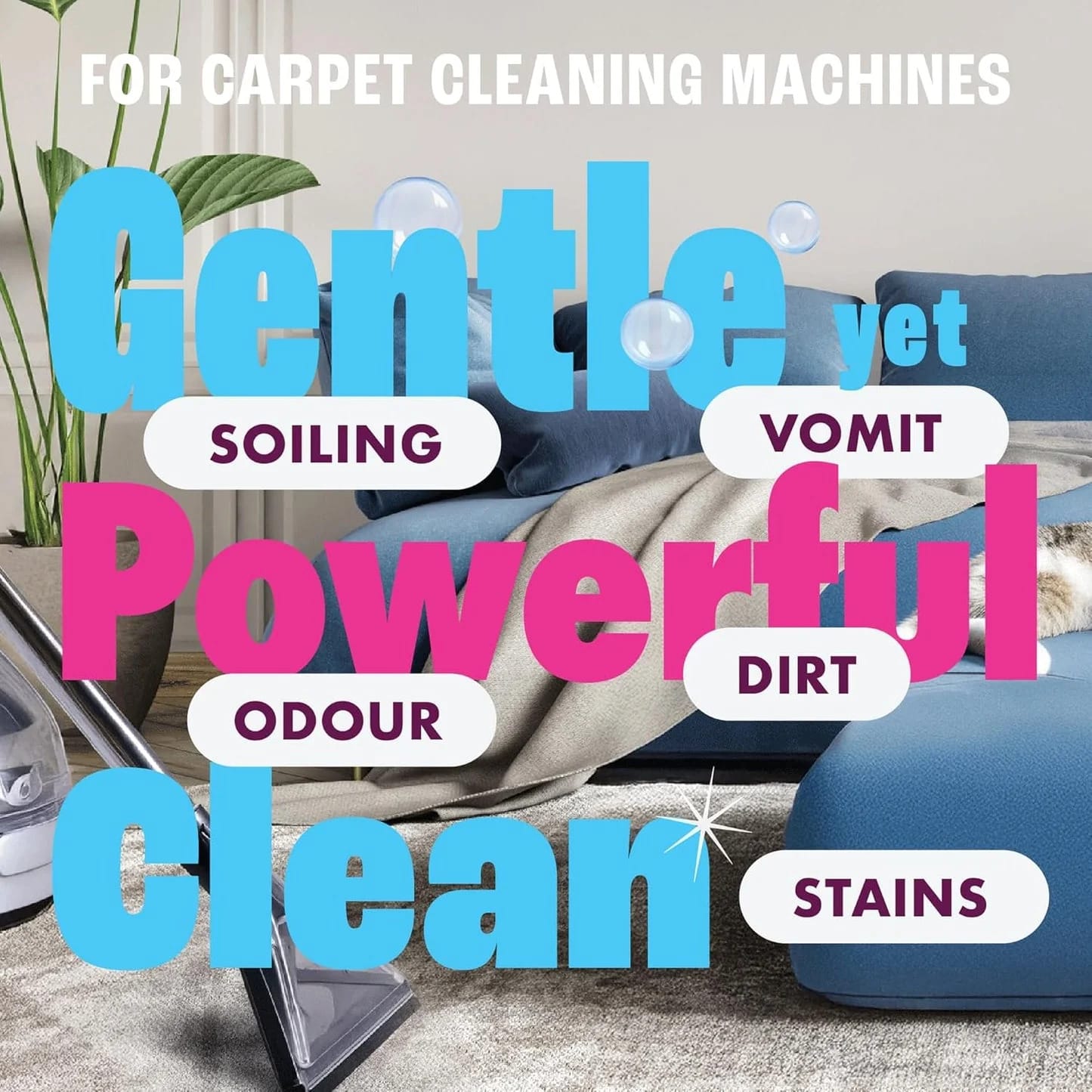 Dirtbusters Simply Carpet Cleaner Shampoo (5L) Powerful Carpet Cleaner Solution To Clean All Soiling & Eliminate Odour, Urine & Remove Stains, For Carpet Shampoo Machines