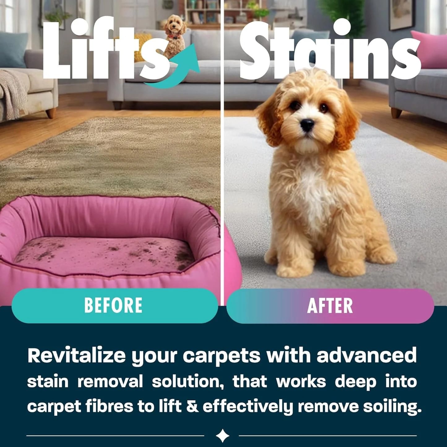 Dirtbusters Simply Carpet Cleaner Shampoo (5L) Powerful Carpet Cleaner Solution To Clean All Soiling & Eliminate Odour, Urine & Remove Stains, For Carpet Shampoo Machines