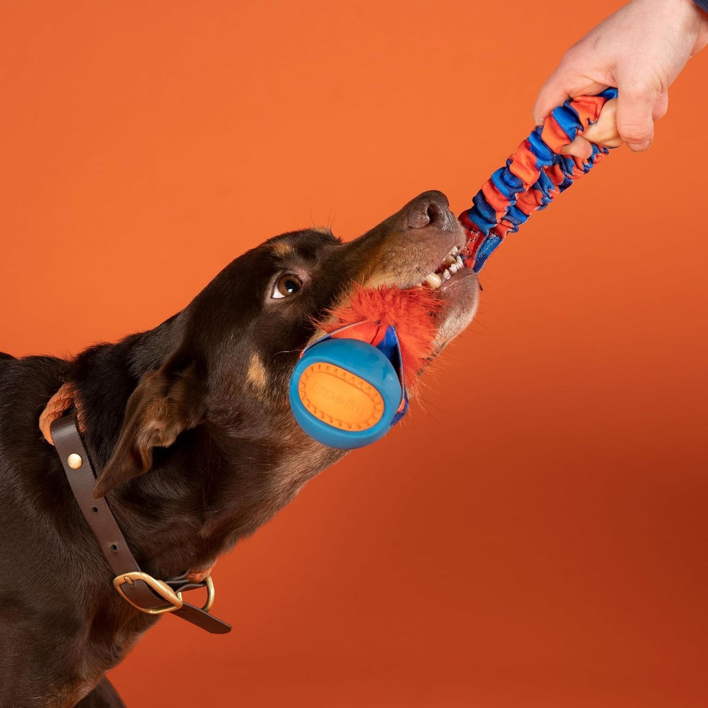 Tug-E-Nuff Pocket PowerBall Fauxtastic | Pocket-sized Tug Toy | Durable Bungee Tug Toy for Dogs | Ideal for Interactive Dog Training and Dogs of all Ages | Made of Durable Faux Fur | 29cm (11.5inches)