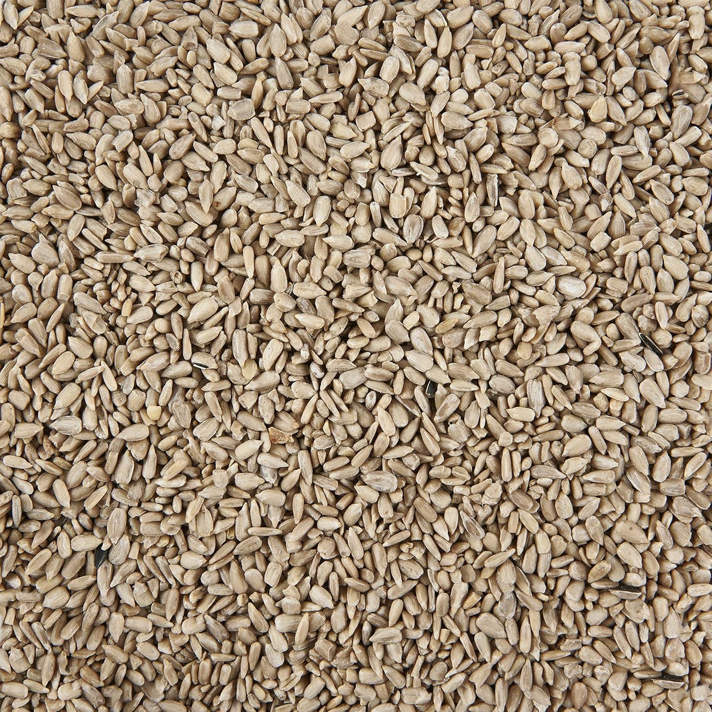 Garden Ting Sunflower Hearts Wild Bird Food Tub, 5 Litre